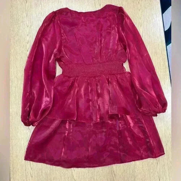 Berry N Cream Red Tiered Shimmer Dress Size Large - Picture 3 of 5